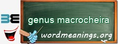 WordMeaning blackboard for genus macrocheira